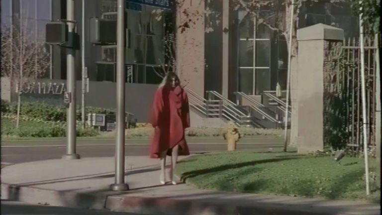 This Vintage Slut Takes a Nice Black Cock Under the Los Angeles Sky