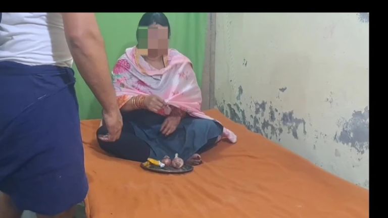 Desi Punjabi Babhi & Behari Servent Sex Roleplay - Village Night Story